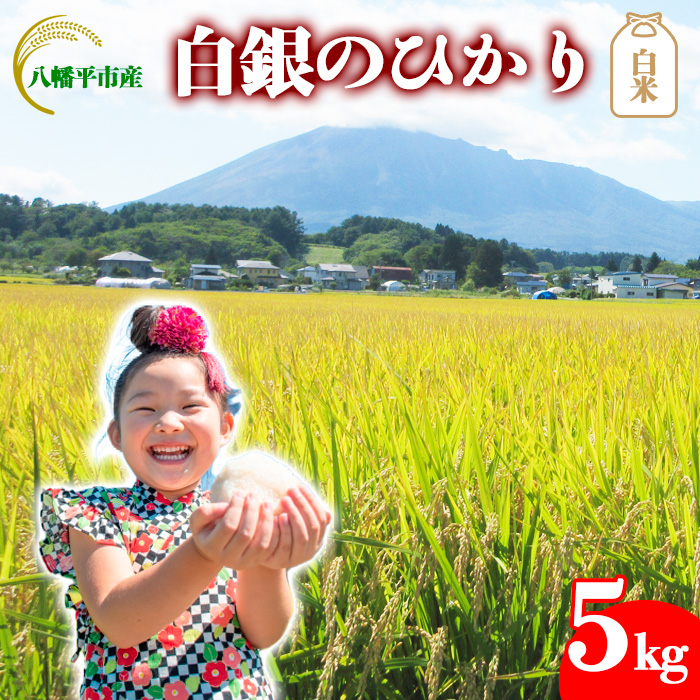 【令和7年産】 白銀のひかり  （岩手141号）   精米 5kg ／ かきのうえ こめ 米 コメ お米 おこめ 白米 白飯