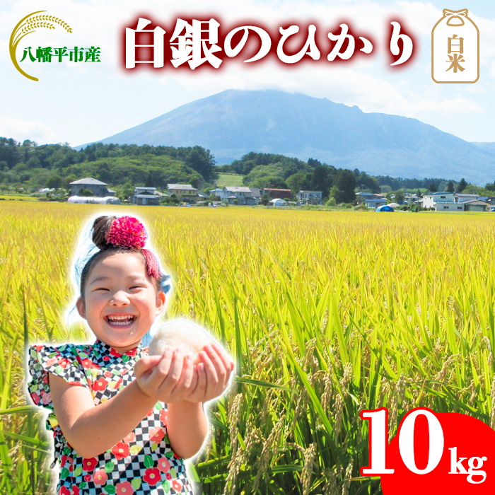 【令和7年産】 白銀のひかり （岩手141号）  精米 10kg ／ かきのうえ こめ 米 コメ お米 おこめ 白米 白飯