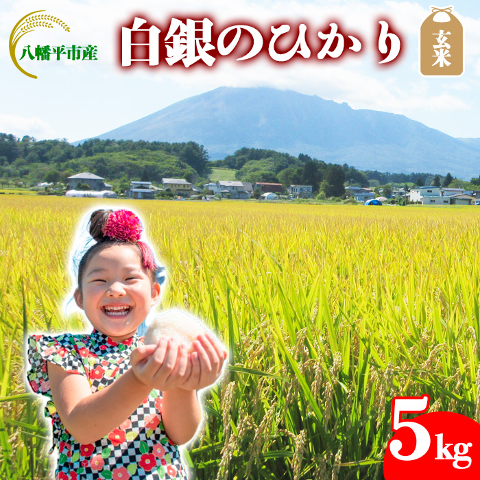 【令和7年産】 白銀のひかり （岩手141号）  玄米 5kg ／ かきのうえ こめ 米 コメ お米 おこめ ご飯 ごはん げんまい
