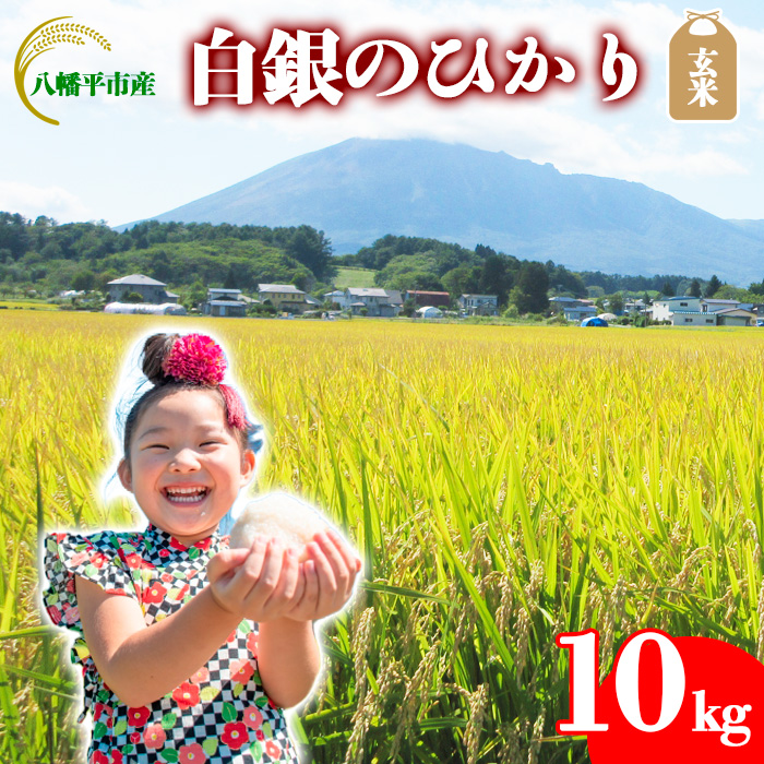 【令和7年産】 白銀のひかり （岩手141号）  玄米 10kg ／ かきのうえ こめ 米 コメ お米 おこめ ご飯 ごはん げんまい
