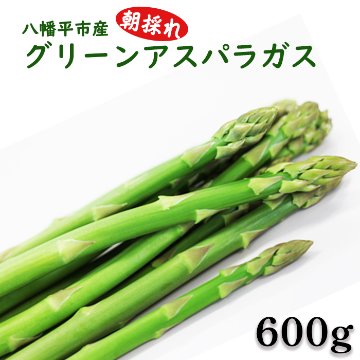 甘い！ 朝採れ グリーンアスパラガス 600g （200g×3束） ／ 産地直送 農家直送 アスパラ 野菜 【田村和大】