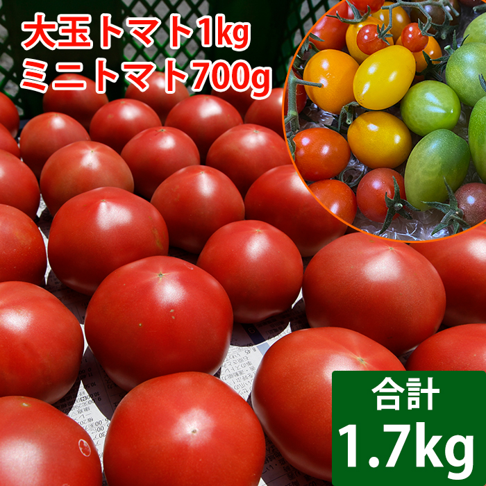 【岩手県産】こだわりトマト詰め合せセット（大玉1kg／ミニトマト700g） ／ 【田村和大】 とまと 大玉トマト 新鮮 夏野菜 プチトマト 旬 期間限定 季節限定 八幡平市産 産地直送 農家直送 国産