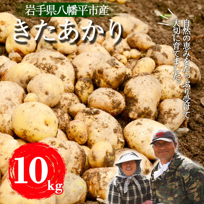 ＜2026年8月中旬発送開始予定＞ 岩手県産 じゃがいも きたあかり 10kg 【松浦農園】／ ジャガイモ じゃが芋 キタアカリ 芋 いも 馬鈴薯 ばれいしょ ポテト