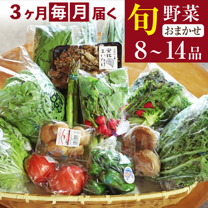 【新】八幡平のふるさと産直箱（大）3ヶ月定期便 ／ あすぴーて おまかせ 野菜 新鮮 野菜詰合せ 季節の野菜 旬の野菜 産地直送
