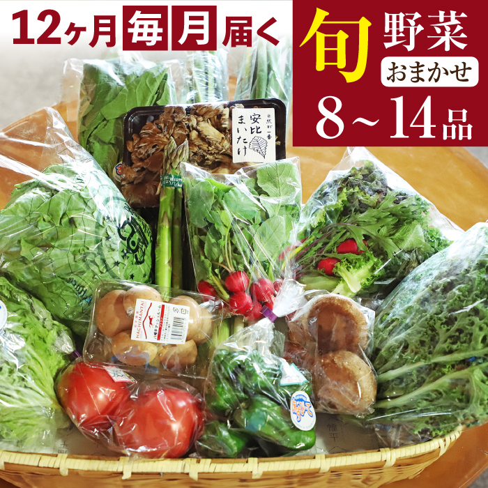 【新】八幡平のふるさと産直箱（大）12ヶ月定期便 ／ あすぴーて おまかせ 野菜 新鮮 野菜詰合せ 季節の野菜 旬の野菜 産地直送