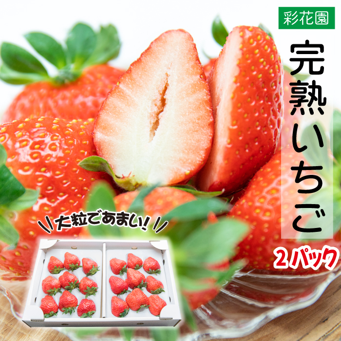 八幡平市「彩花園」よりお届け！！ 大粒あま～い完熟いちご ／ 苺 イチゴ ストロベリー お取り寄せ 産地直送