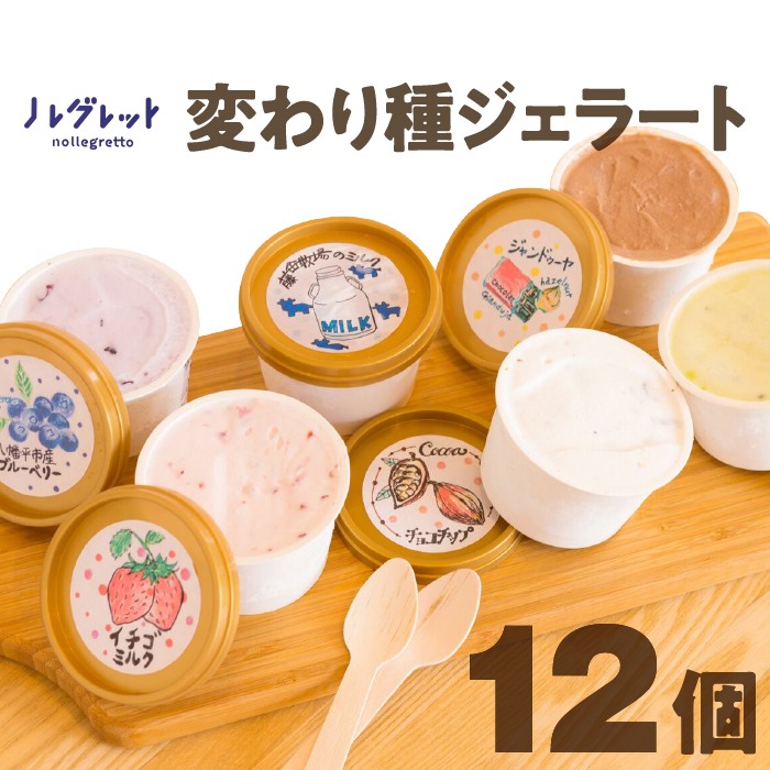 変わり種ジェラートセット 12個入り【アイス工房Nollegretto】