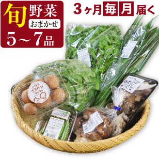 [旬野菜お届け]八幡平のふるさと産直箱(小)3ヶ月定期便 / 産地直送 新鮮 野菜 [あすぴーて]