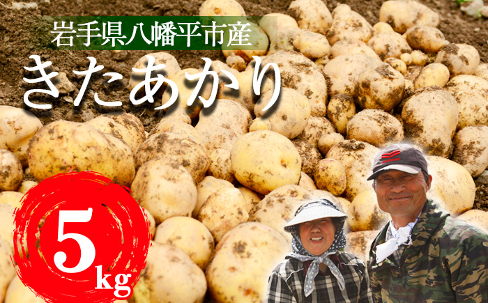 [2026年8月中旬発送開始予定] 岩手県産 じゃがいも きたあかり 5kg [松浦農園]/ ジャガイモ じゃが芋 キタアカリ 芋 いも 馬鈴薯 ばれいしょ ポテト
