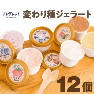 変わり種ジェラートセット 12個入り[アイス工房Nollegretto]