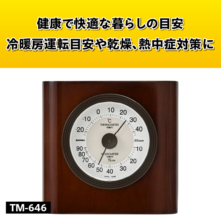 イートン温・湿度計 TM-646 [AJ105]