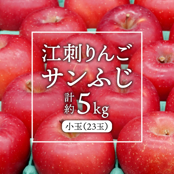 江刺りんご サンふじ 小玉 5kg（23玉）【令和8年1月お届け】 [AQ027]