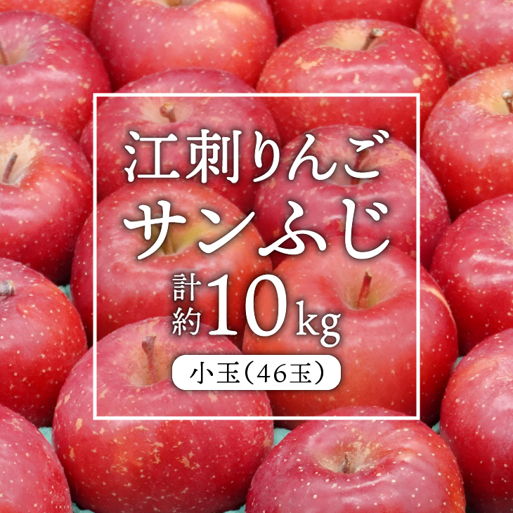 江刺りんご サンふじ 小玉 10kg（46玉）【令和8年1月お届け】 [AQ028]