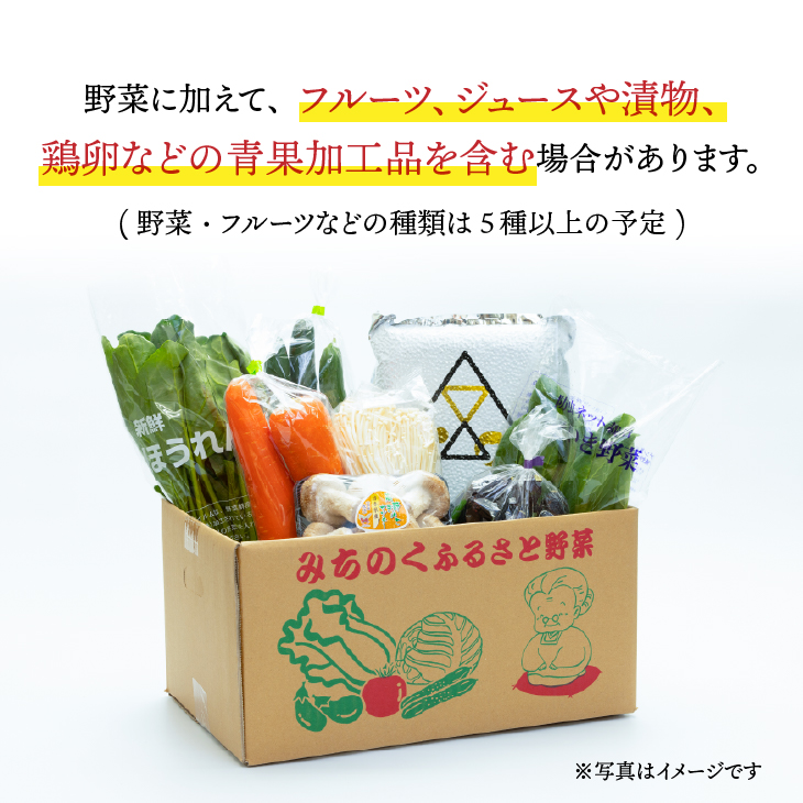 江刺金札米ひとめぼれ パック米と岩手県産野菜セット【翌月発送】離島配送不可 [AQ031]