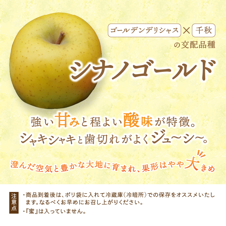 お試し用 江刺りんご「シナノゴールド」6玉[AQ094]