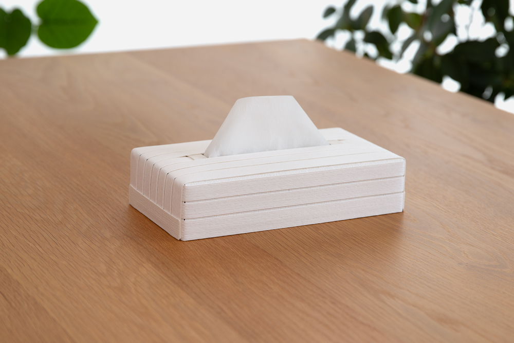 心地よい暮らしをつくる ティッシュケース mini ホワイト 岩手県奥州市産 バンドシー Bandc スコッティ ネピア ネピネピ に対応　[AR089]