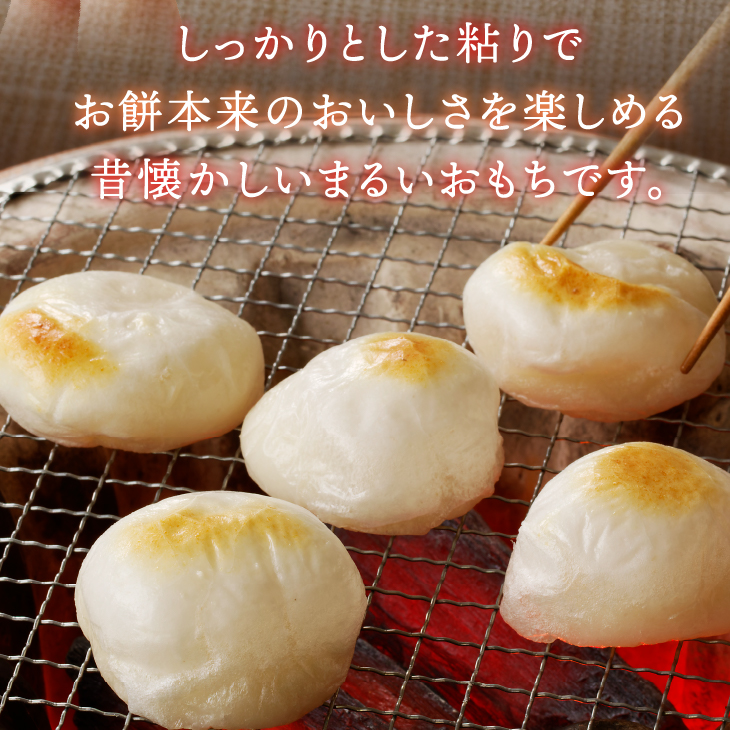 低温製法米の生まるもち 9.6kg [AV012]