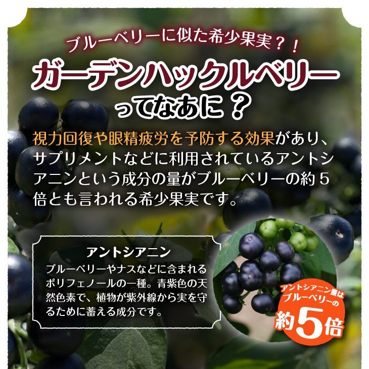 GH（ガーデンハックルベリー）ジャム2個&飲む酢2本セット 岩手県奥州市江刺産[BB004]