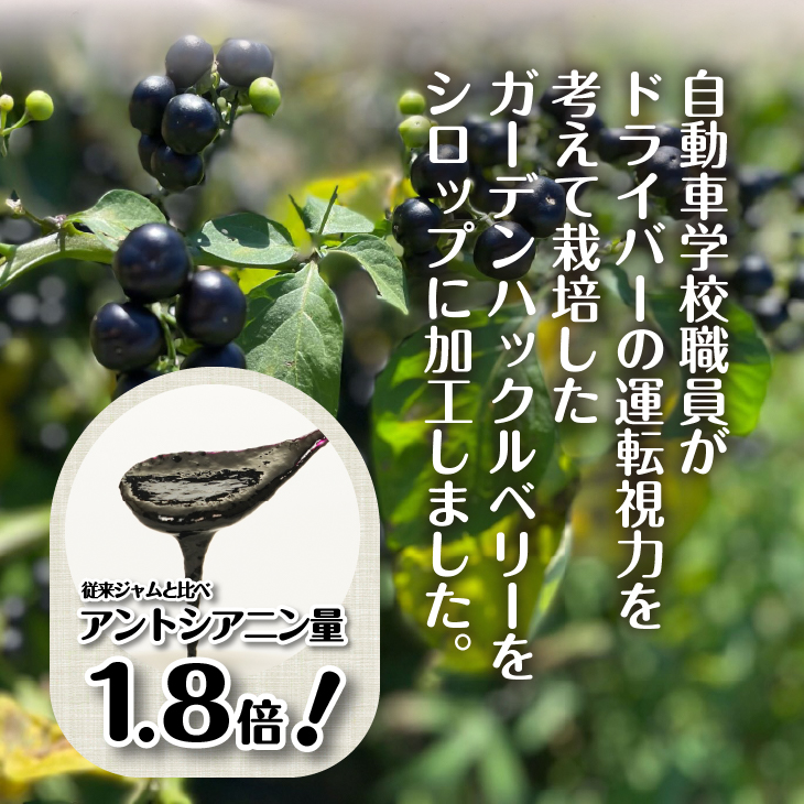 GH(ガーデンハックルベリー) 特濃シロップ300g×2個 岩手県奥州市江刺産 [BB005]