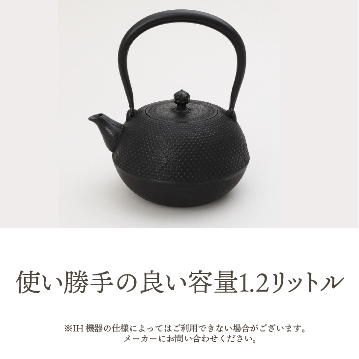 南部鉄器　鉄瓶　寒梅あられ鉄瓶　～ARARE～　1.2L [BE001]