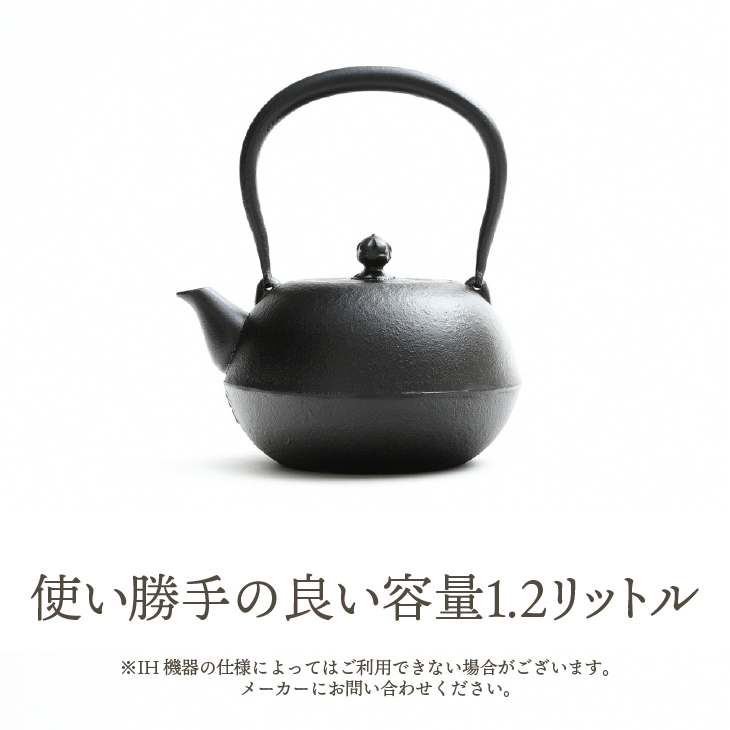 南部鉄器 鉄瓶 寒梅美肌鉄瓶 ～BIHADA～ 1.2L IH調理器 伝統工芸品 やかん ケトル キッチン用品 食器 日用品 雑貨 [BE002]