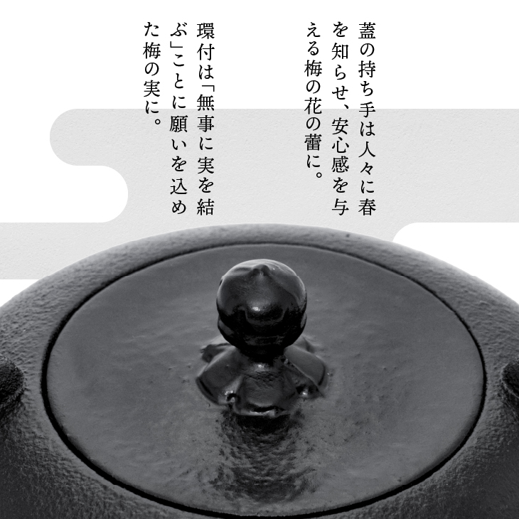 南部鉄器 鉄瓶 めんこい寒梅美肌鉄瓶～MENKOI　BIHADA～ [BE004]