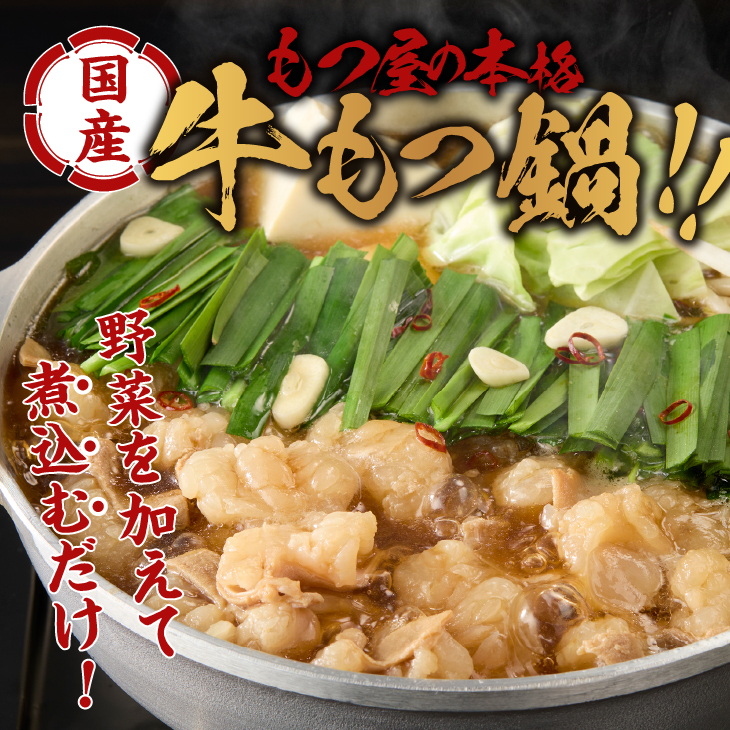 【ふるさと納税】国産牛 もつ鍋 2~3人前×5パック 計10～15人前 [BX001]