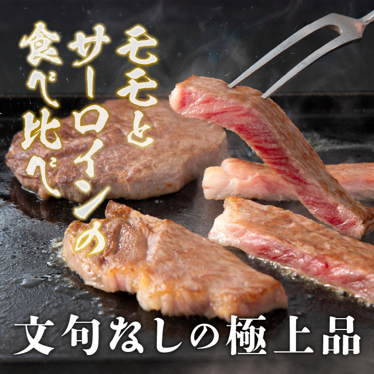 前沢牛ステーキ食べ比べ 合計480g（サーロイン・モモ 各120g×2枚） ブランド牛肉 離島配送不可 [CH001]