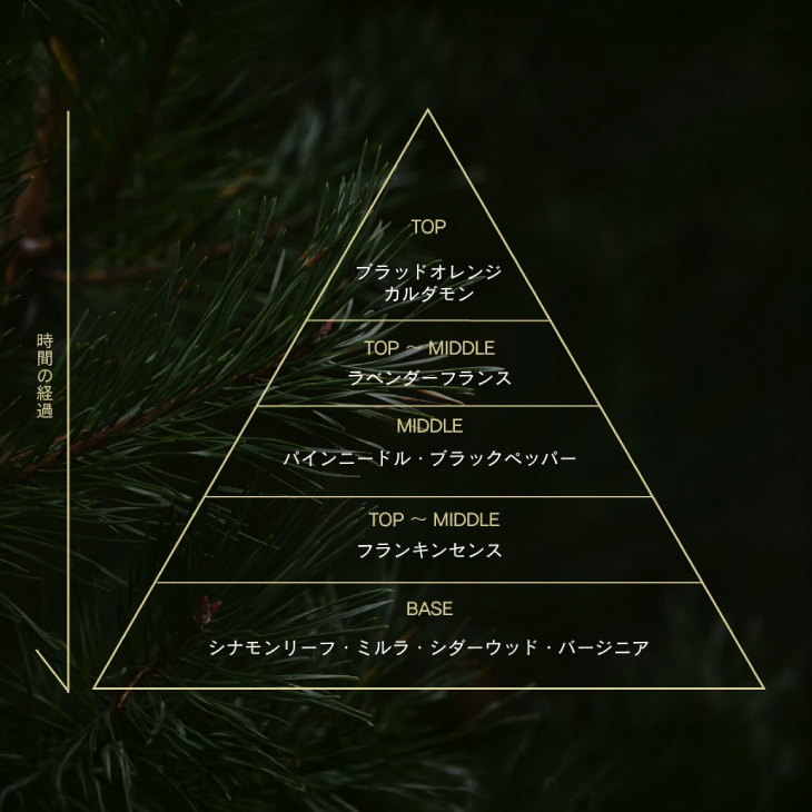 Sott ピローミスト DEEP Earthy [CJ001]