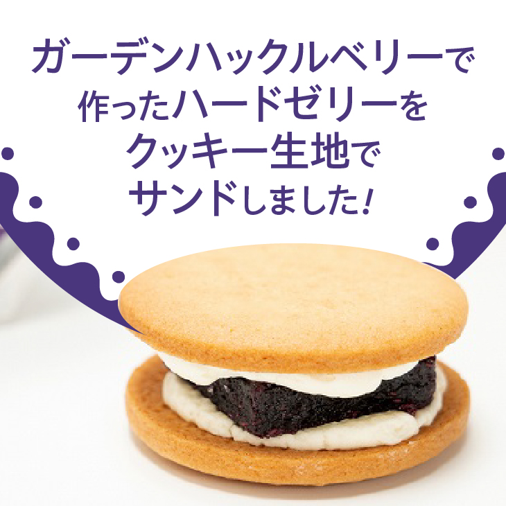 ガーデンサンド 15個入り 岩手県奥州市産ガーデンハックルベリー使用 クッキーサンド[N0006]