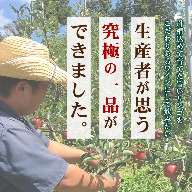 ＜完熟りんご100％使用ワイン＞「Demeter～デメテル～」 奥州市産りんごを使用した貴重なアップルワイン（720ml×2本）[Q0001]