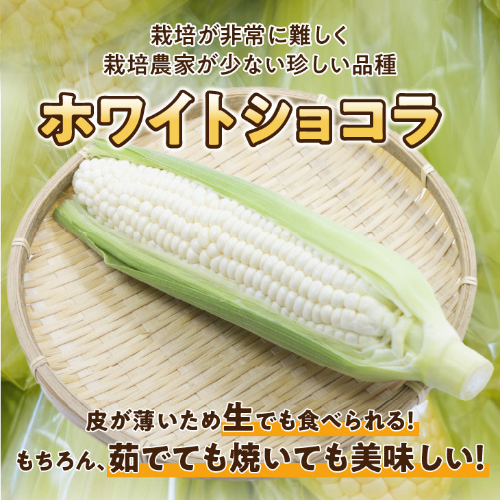 【先行予約】白いとうもろこし 奥州ペルル ( ホワイトショコラ ) 10本【数量限定】2026年7月中旬から出荷 離島配送不可 [T0012]