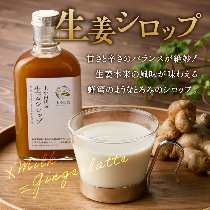 自家製生姜シロップ2本(生姜シロップと生姜シロップDRY) [T0020]