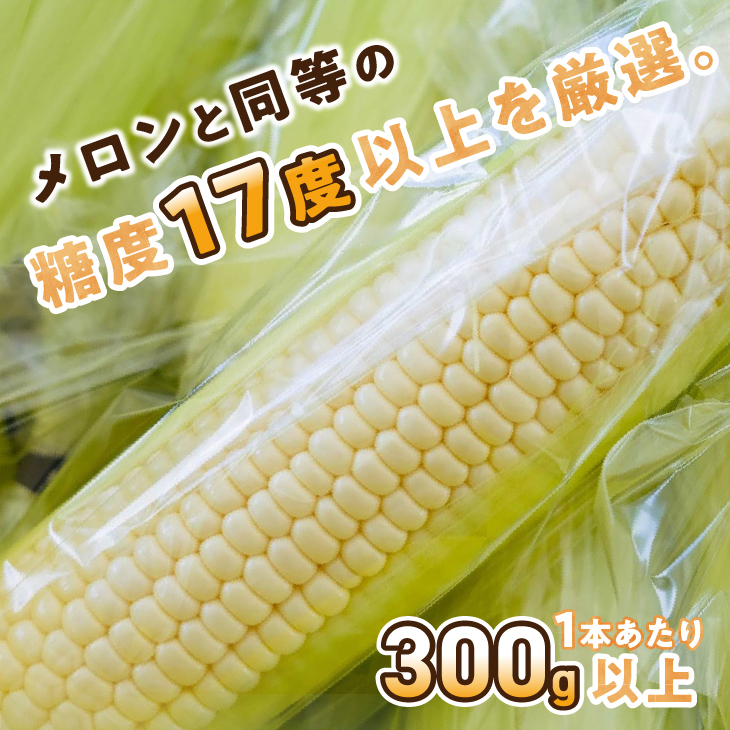 【先行予約】白いとうもろこし奥州ペルル(ホワイトショコラ) 5本【数量限定】2026年7月中旬から出荷 離島配送不可 [T0028]