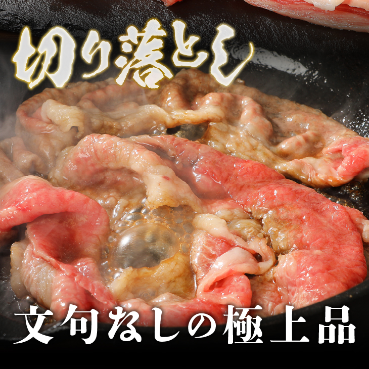 【12月1日より価格改定】前沢牛切り落としスライス(500g) ブランド牛肉 離島配送不可 [U0040]