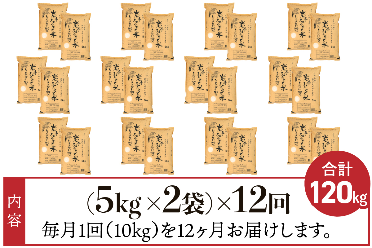 3人に1人がリピーター!☆全12回定期便☆ 岩手ふるさと米 10kg(5㎏×2)×12ヶ月 令和7年産 一等米ひとめぼれ 東北有数のお米の産地 岩手県奥州市産【配送時期に関する変更不可】 [U0171]