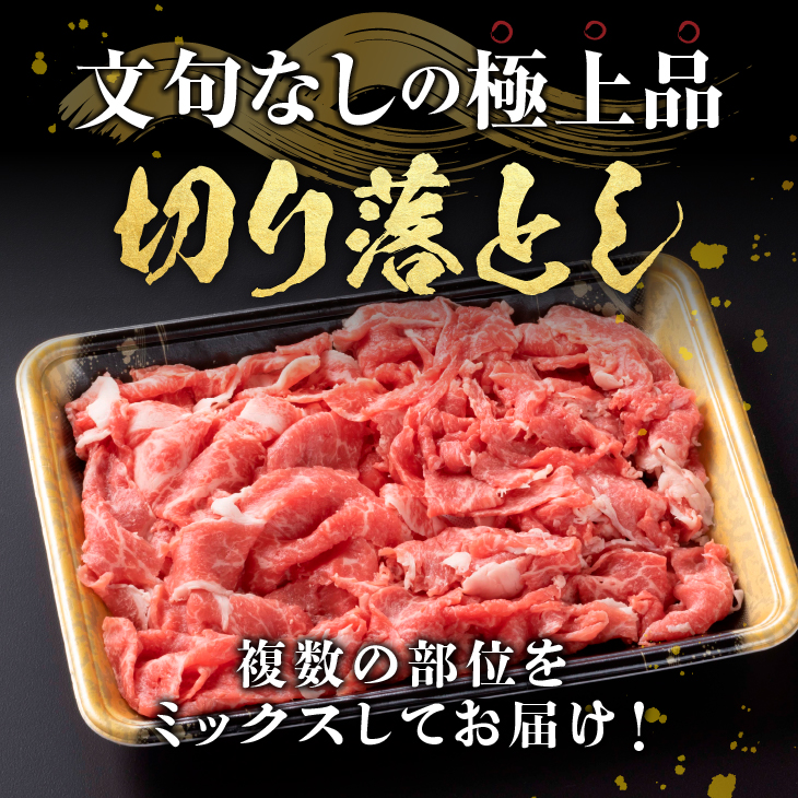 【冷凍】前沢牛 切り落とし 800g[U0213]