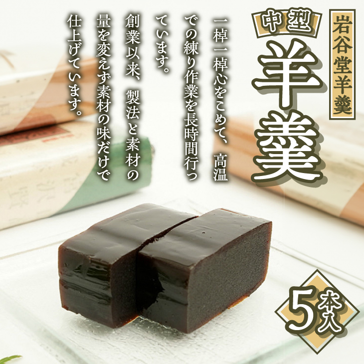 明治36年創業 菊泉堂の岩谷堂羊羹 中型羊羹5本入 伝統和菓子[V0005]