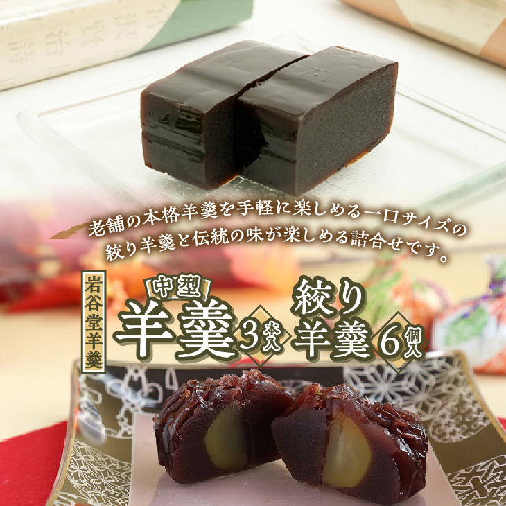 明治36年創業 菊泉堂の岩谷堂羊羹 中型3本・絞り羊羹6個詰め合わせ 伝統和菓子［V0007]