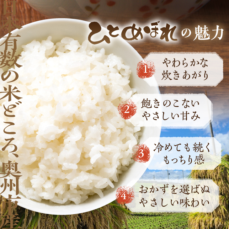 数量限定 令和7年産 岩手県奥州市産 特用ひとめぼれ 玄米 20kg [AC039]