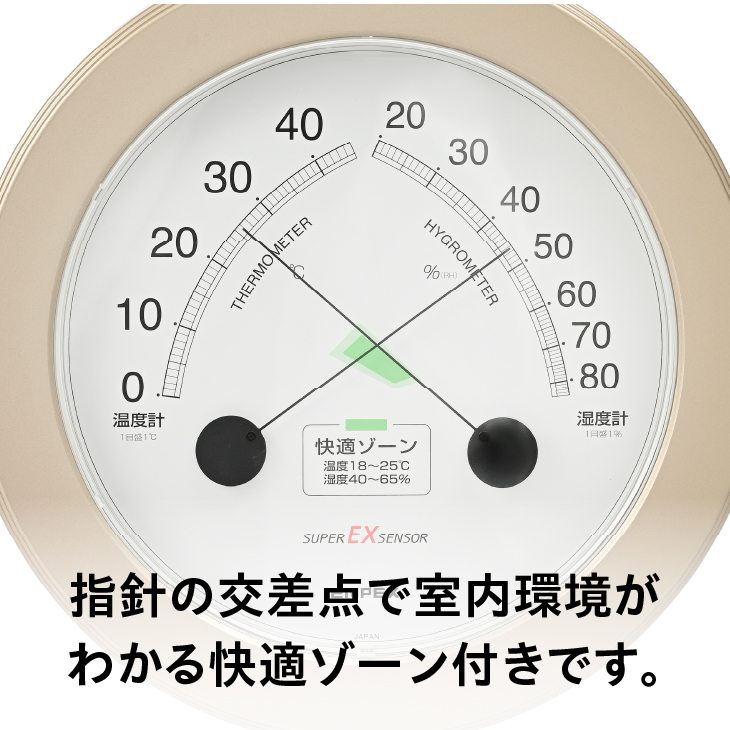 スーパーEX高品質温・湿度計 EX-2738 [AJ081]