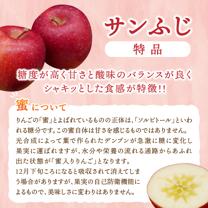 江刺りんご サンふじ 5kg（20～23玉）【2026年1月中旬以降お届け】 [AQ011]
