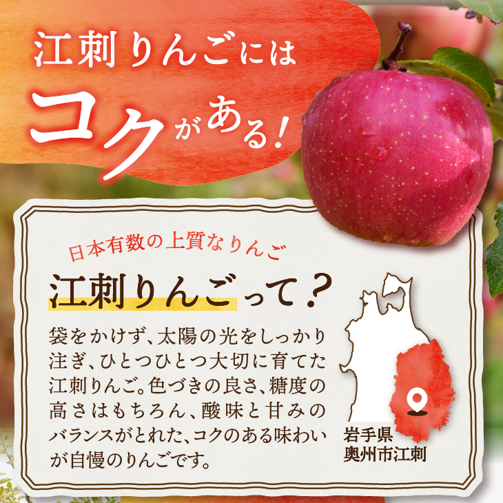 数量限定 奥州市のりんご定期便・6回(10月~3月) 江刺りんごや新ブランドの食べ比べコース [AQ030]