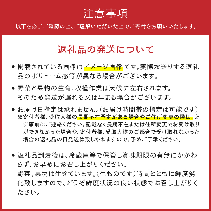 江刺金札米ひとめぼれ パック米と岩手県産野菜セット【翌月発送】離島配送不可 [AQ031]