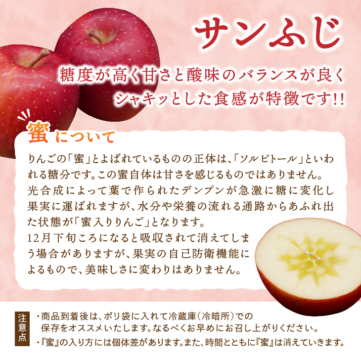 【少量お試し用】江刺りんご「サンふじ」6玉入 【11月下旬以降順次お届け】 [AQ038]