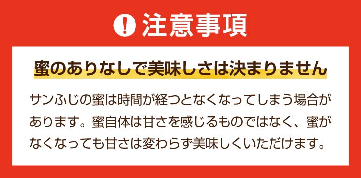 奥州市産りんご 赤い誘惑「サンふじ」 小玉約5kg 20玉 [AQ078]