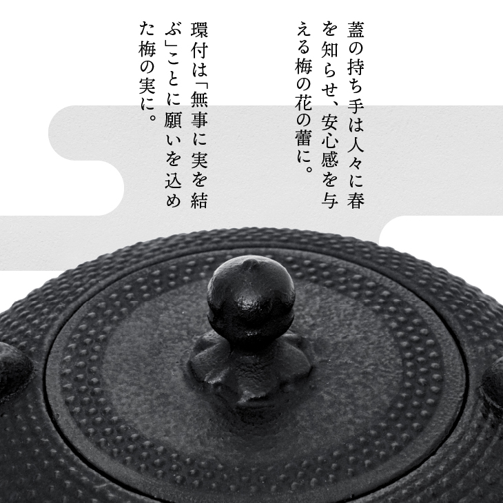 南部鉄器 鉄瓶 めんこい寒梅あられ鉄瓶～MENKOI　ARARE～ [BE003]