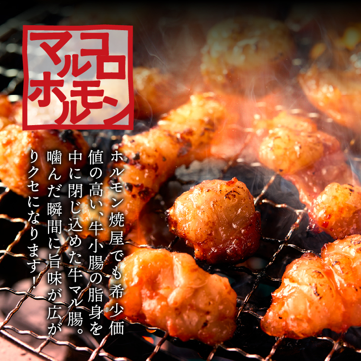 焼肉道マルコロホルモン(コク味噌、うま辛)8個セット＋前沢牛ハンバーグ[BF006]