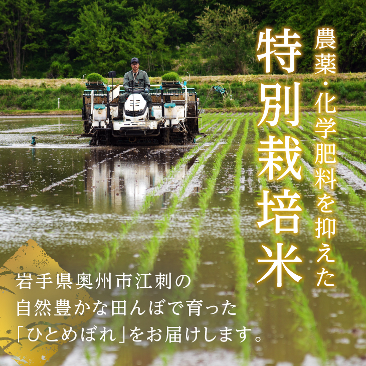 特別栽培米 hugmiのお米 奥州江刺産 ひとめぼれ 約9kg (約4.5kg × 2袋) 白米 [BJ008]