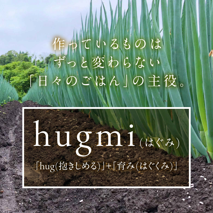  hugmiの長ねぎ 3kg Lサイズ 離島配送不可 [BJ010]